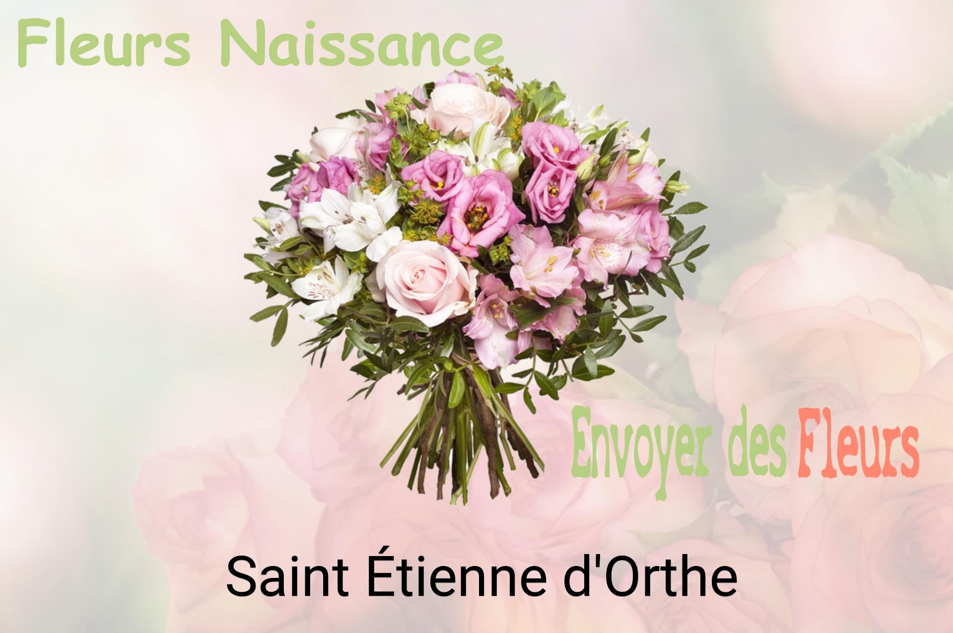 Bouquet de fleurs de naissance livré à Saint-Étienne-d'Orthe