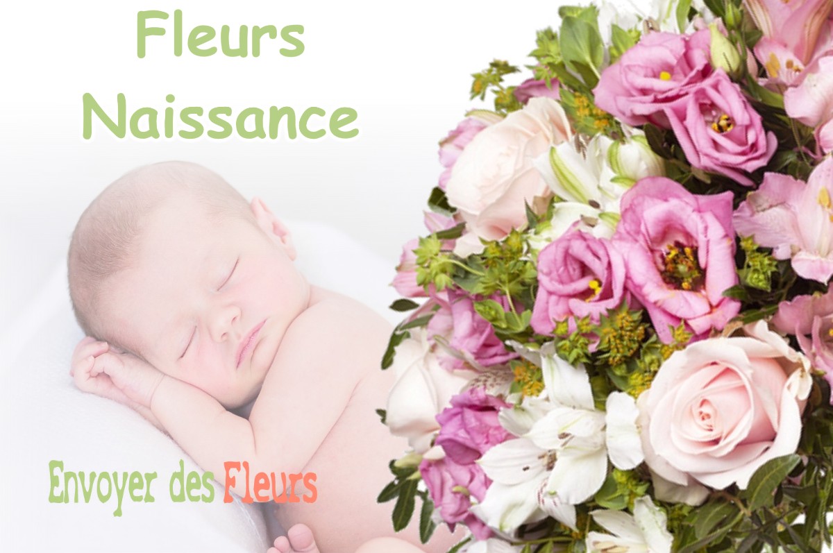 lIVRAISON FLEURS NAISSANCE à SAINT-ETIENNE-D-ORTHE